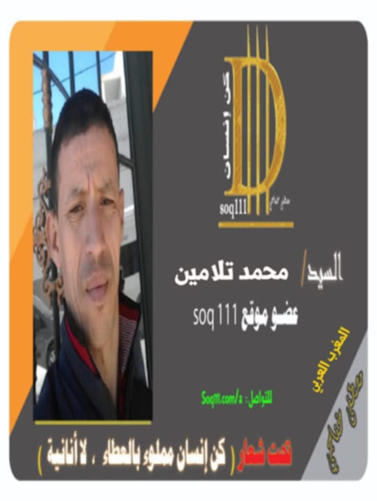 معرض الصور